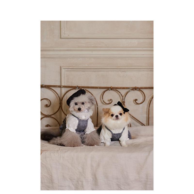 Roupas Fofas para Cães Pequeno - Japanese Lifestyle Book avaliação e preço